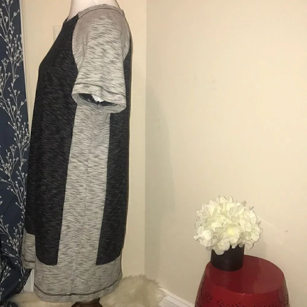 Lou & Grey Color-block Shift Dress - Picture 2 of 7